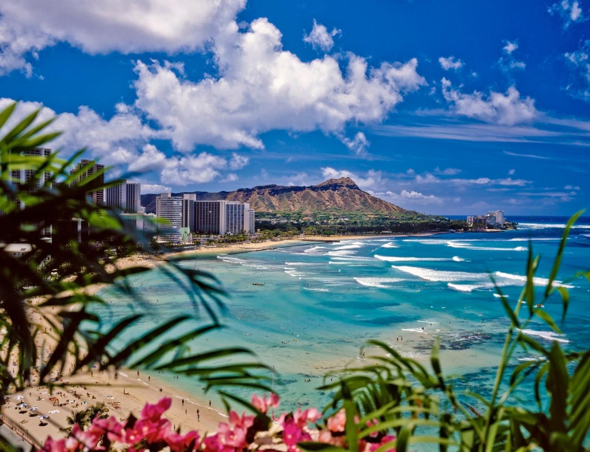 Mountain View Condo W/ King-Size Bed, Free Parking Honolulu Eksteriør bilde