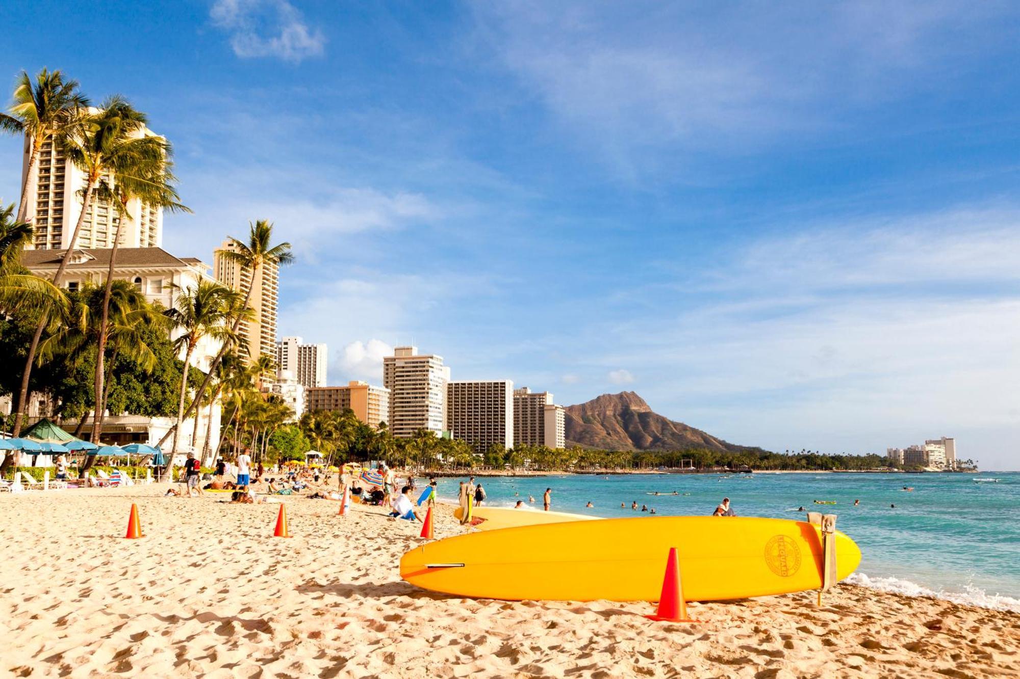 Mountain View Condo W/ King-Size Bed, Free Parking Honolulu Eksteriør bilde